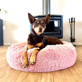 Calming Bed