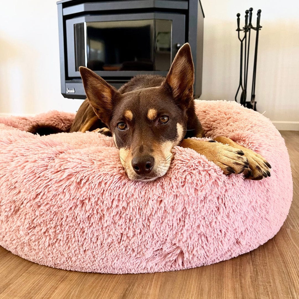 Calming Bed