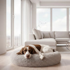 Calming Bed
