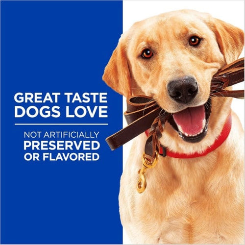 Soft Training Treats