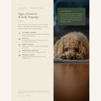 The Complete Calm Dog Handbook