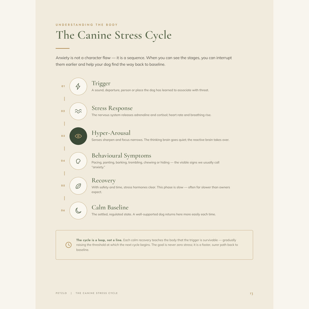 The Complete Calm Dog Handbook
