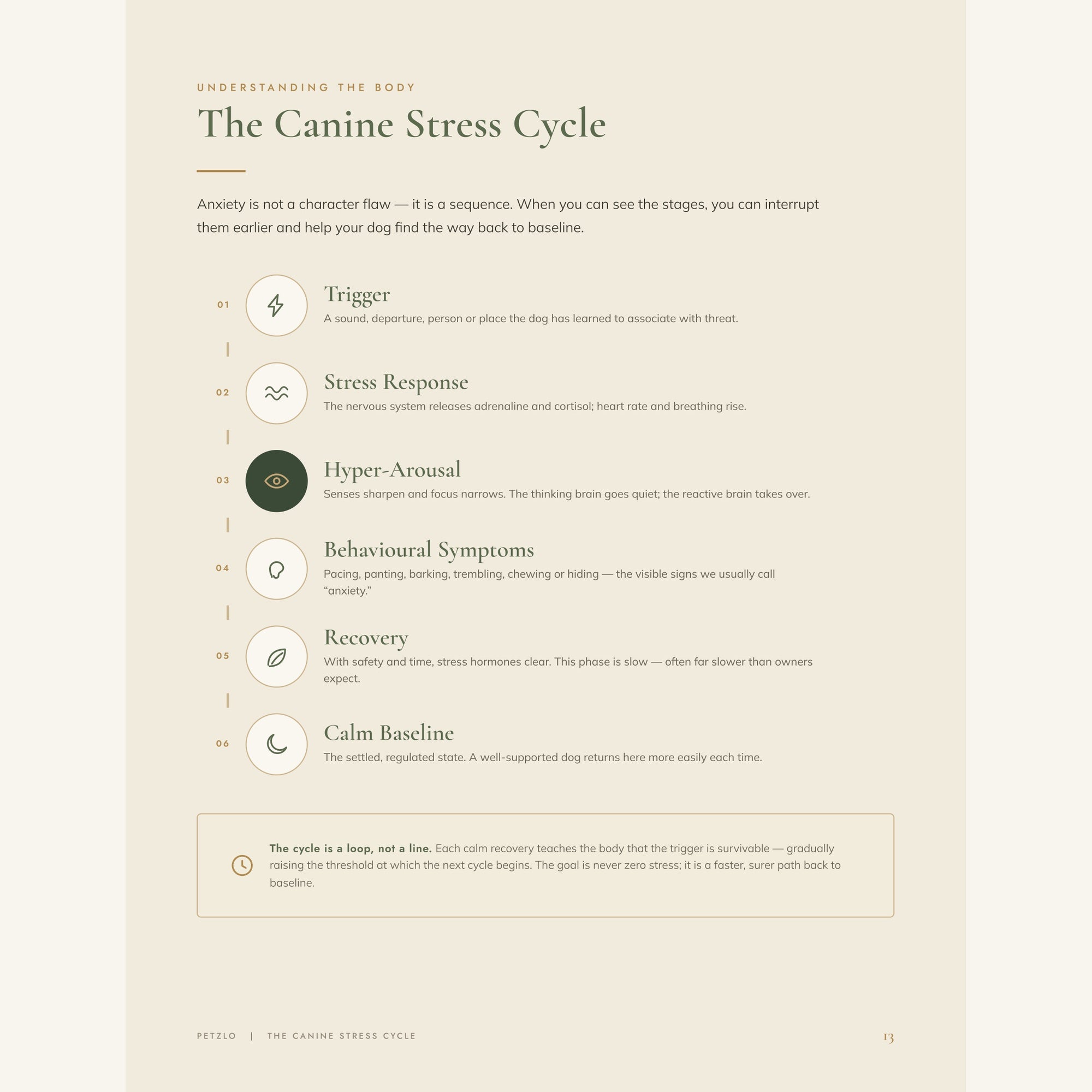 The Complete Calm Dog Handbook
