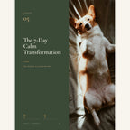 The Complete Calm Dog Handbook