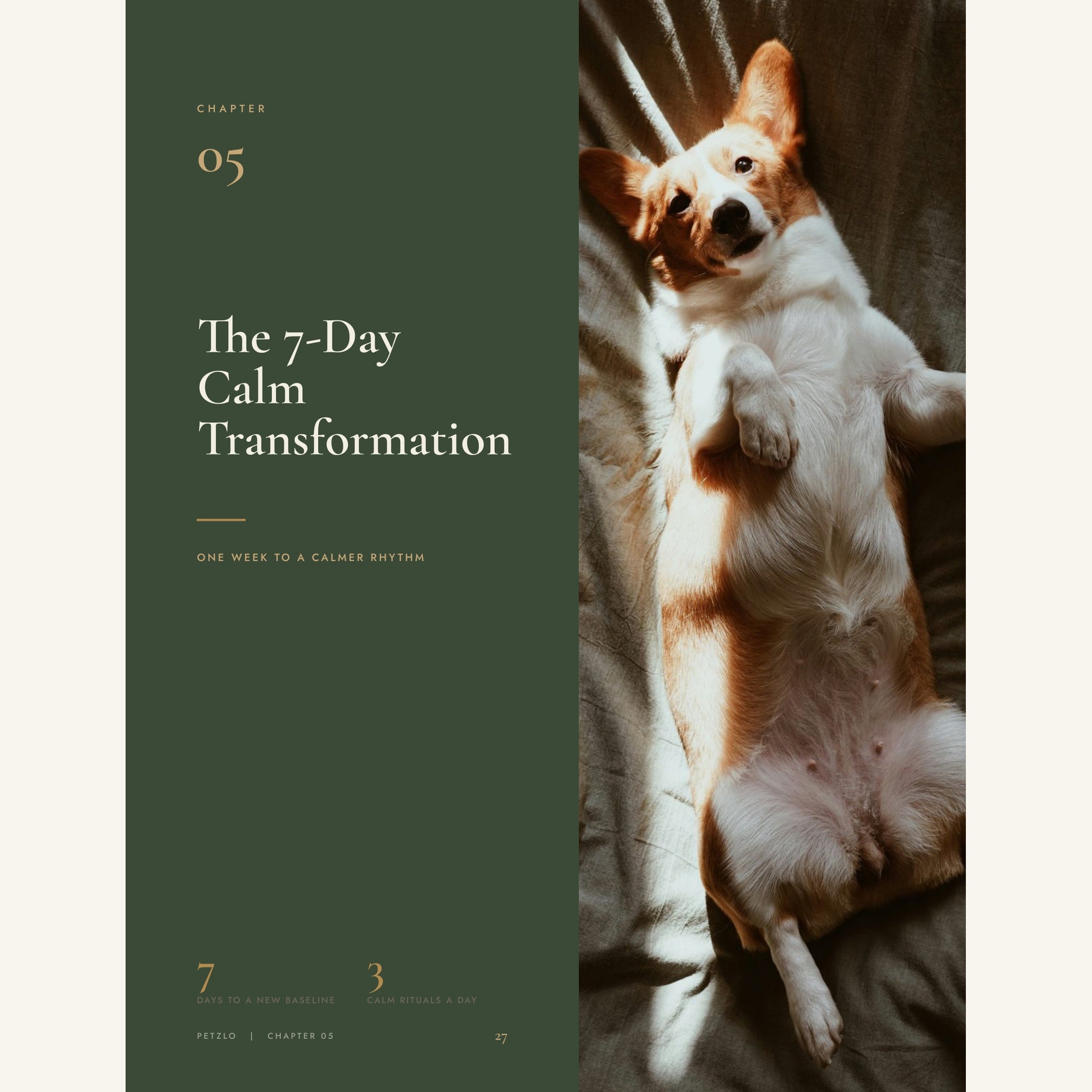 The Complete Calm Dog Handbook